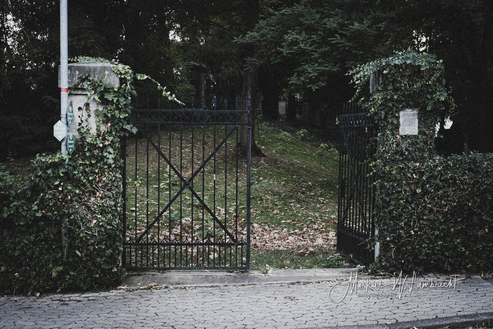 Steinheim (Westfalen), Jüdischer Friedhof